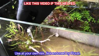 FLUVAL EDGE TOP REMOVAL & SHRIMP