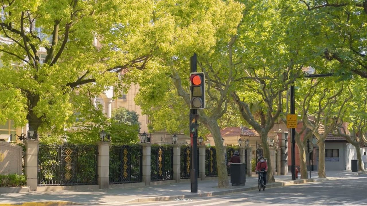 평범한 일상이 사치였다는 것을, 우리는 너무 늦게 알았다.