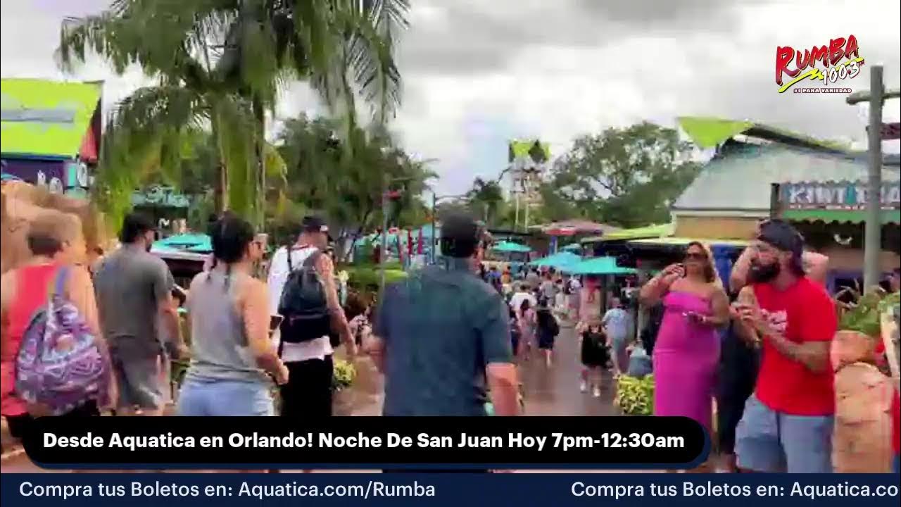 Noche de San juan en Aquatica YouTube