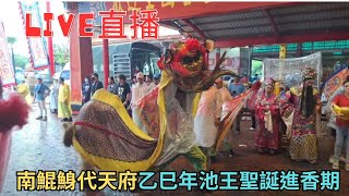 20250706 南鯤鯓代天府乙巳年池王聖誕進香期 #直播