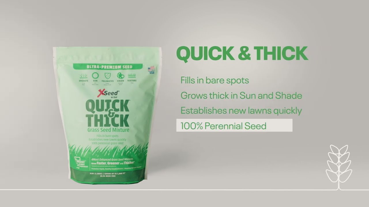 X Seed Quick & Thick