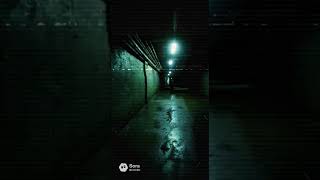 CASE FILE 007 — UNCLASSIFIED FRAGMENT // Reconstruction Error