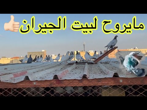 كيف تخلي حمامك مايروح لبيت الجيران بس علا بيتكم 