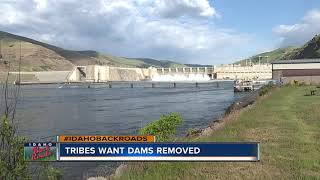 Pacific Northwest tribes: Remove Columbia River dams