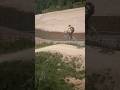 Pulling for no reason #mtb #shorts