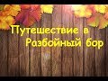 Путешествие в Разбойный Бор по р.Вятка