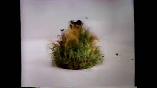 IBM PC Computer Commercial 1985