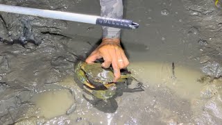 Night fishing in low tide