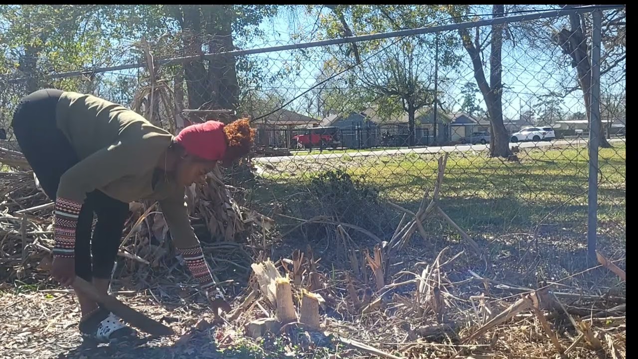 Preparing for Spring 