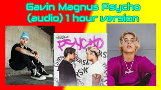 Gavin Magnus Psycho (Audio) 1 hour version