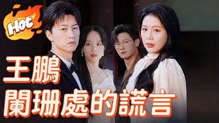 闌珊處的謊言/不要对她说【王鹏系列短劇】#劇情電影 #新短劇