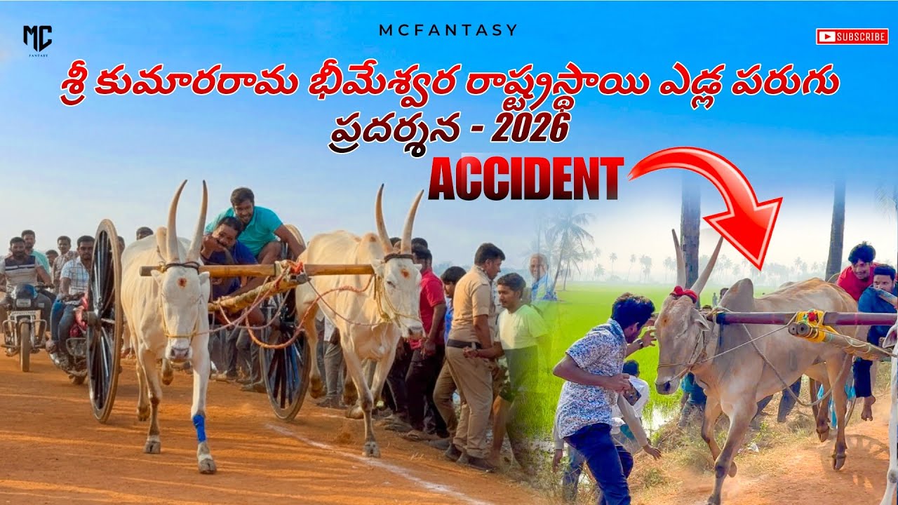 రాష్ట్రస్థాయి ఎడ్ల పరుగు ప్రదర్శన - 2026 | Samalkota ￼
