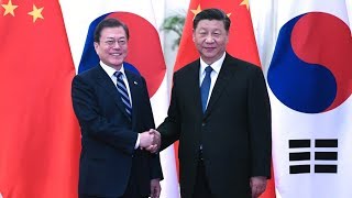 Xi calls for advancing China-ROK ties during meeting with Moon