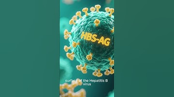 HBsAg Test Explained in 1 Minute | Hepatitis B Surface Antigen