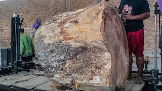 Perth Sawmill Worker Narrowly Escapes Disaster While Milling Trembesi Wood!