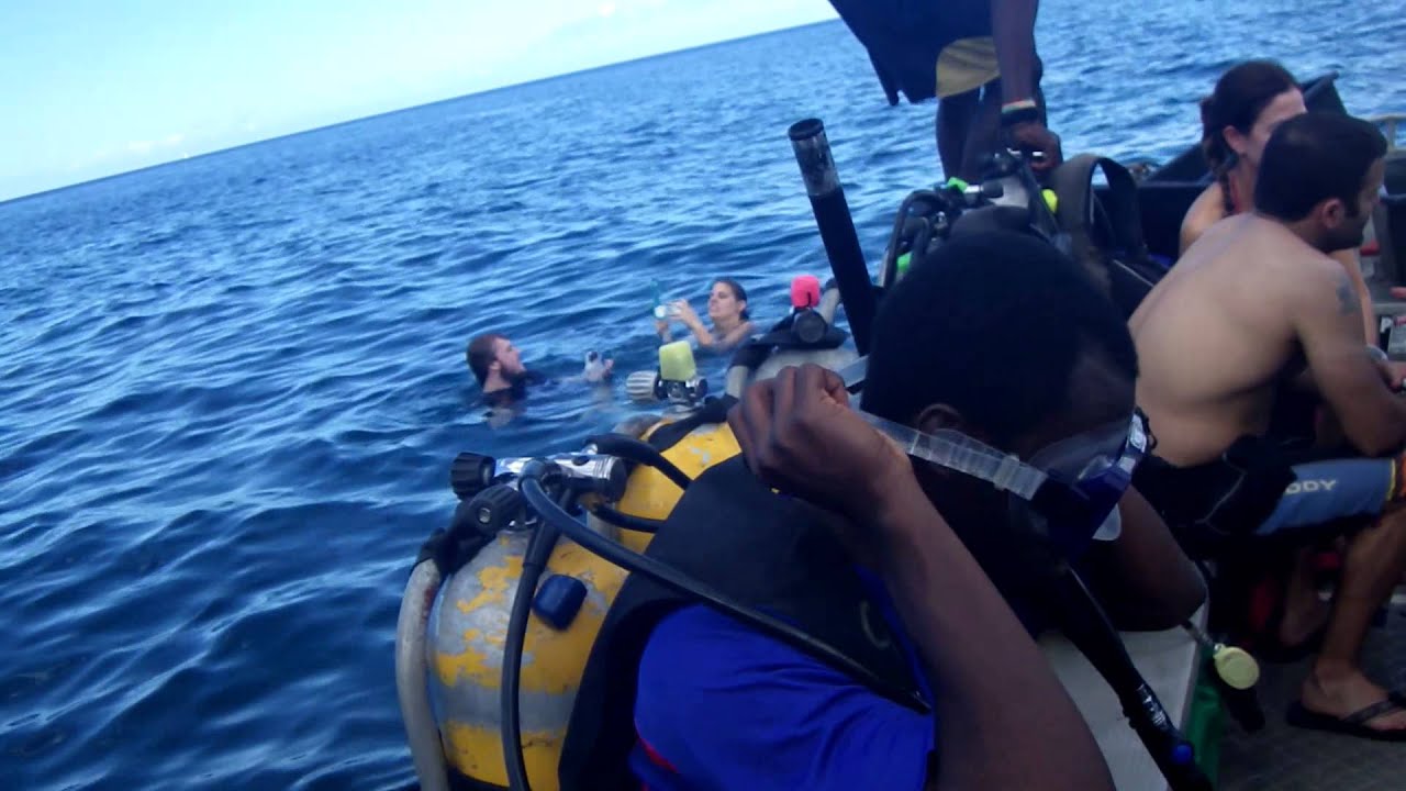 2 Getting Ready to dive in YouTube