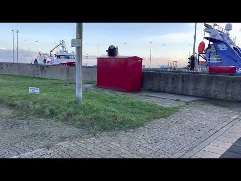 Boten uit Urk in Vlissingen januari 2022