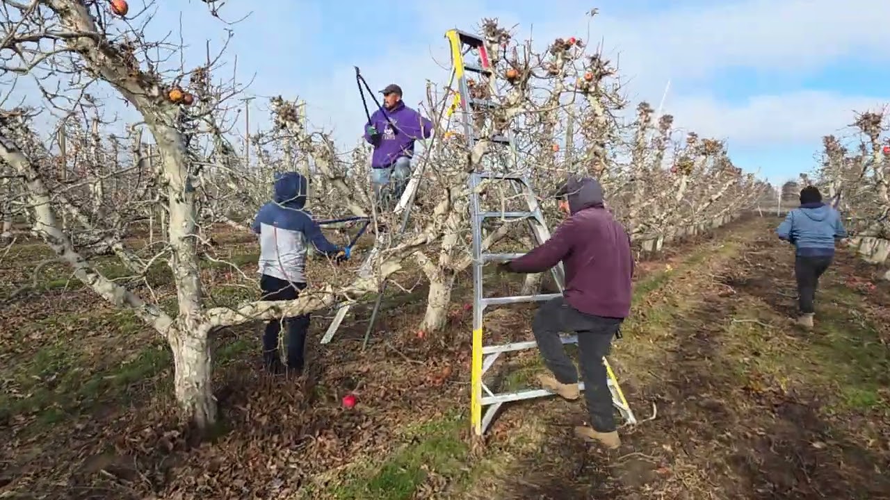 Saludos y puro guerrero 👍 