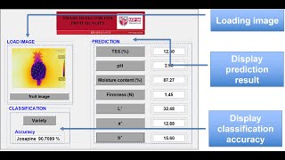 Smart Detector For Fruit Quality (UPM)- PECIPTA 2022