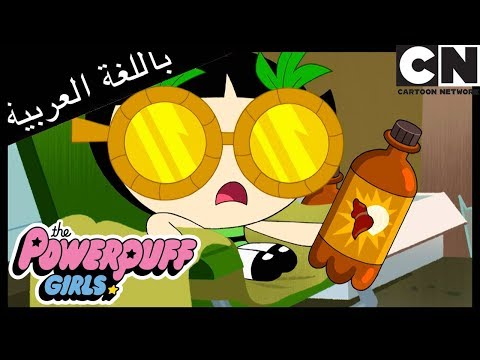 فتيات القوة في منزل الكلب كرتون نتورك
