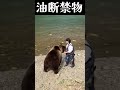 【注意喚起】熊に襲われる