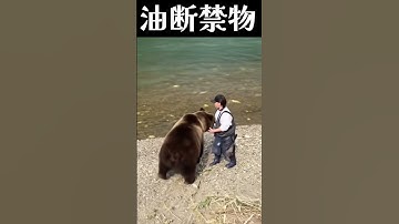 【注意喚起】熊に襲われる