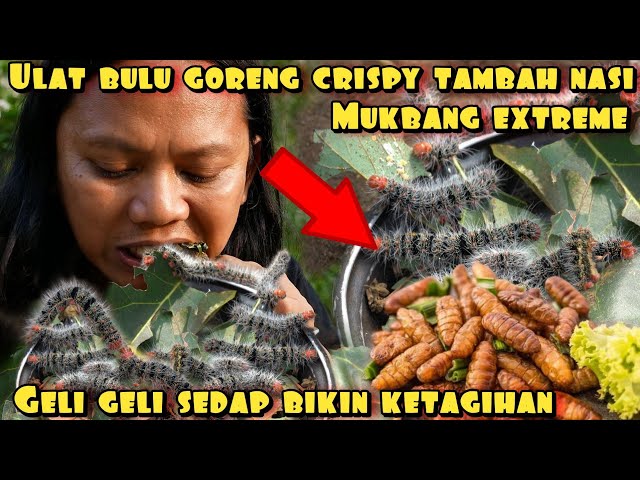 ULET BULU GORENG CRISPY BIKIN HAPPY class=