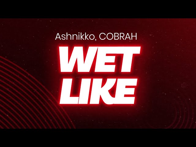 Ashnikko, COBRAH - Wet Like (lyrics/letra)