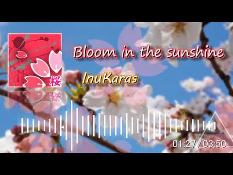 【Studo One 3】 - Bloom in the sunshine