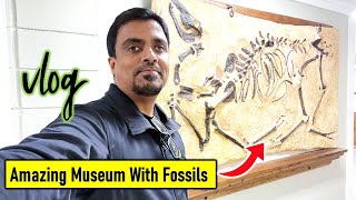 Mississippi’s Hidden Gem | Petrified Museum & Best Western Columbia #travelvlog