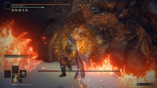 Godfreyhoarah Loux Vs Fire Giant Elden Ring - Cosplay Boss Fight