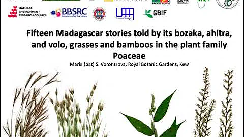 Fifteen Madagascar stories told by its bozaka, ahitra, and volo: grasses and bamboos