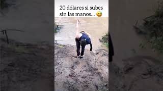 Nunca Celebres Antes De Tiempo Xd