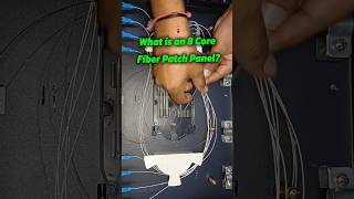8 port optical FIBER Patch Panel?| Fiber patch panel #internetconnection