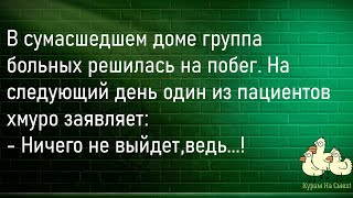 🐔Девушка Вышедшая Замуж За...Большой Сборник Смешных Анекдотов,Для Супер Настроения!