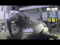 코끼리 발바닥에 보습크림 발라주려고 '누워' 라고 했더니.. 대박ㅣElephant's Surprising Behavior Upon Hearing 'Lie Down!'