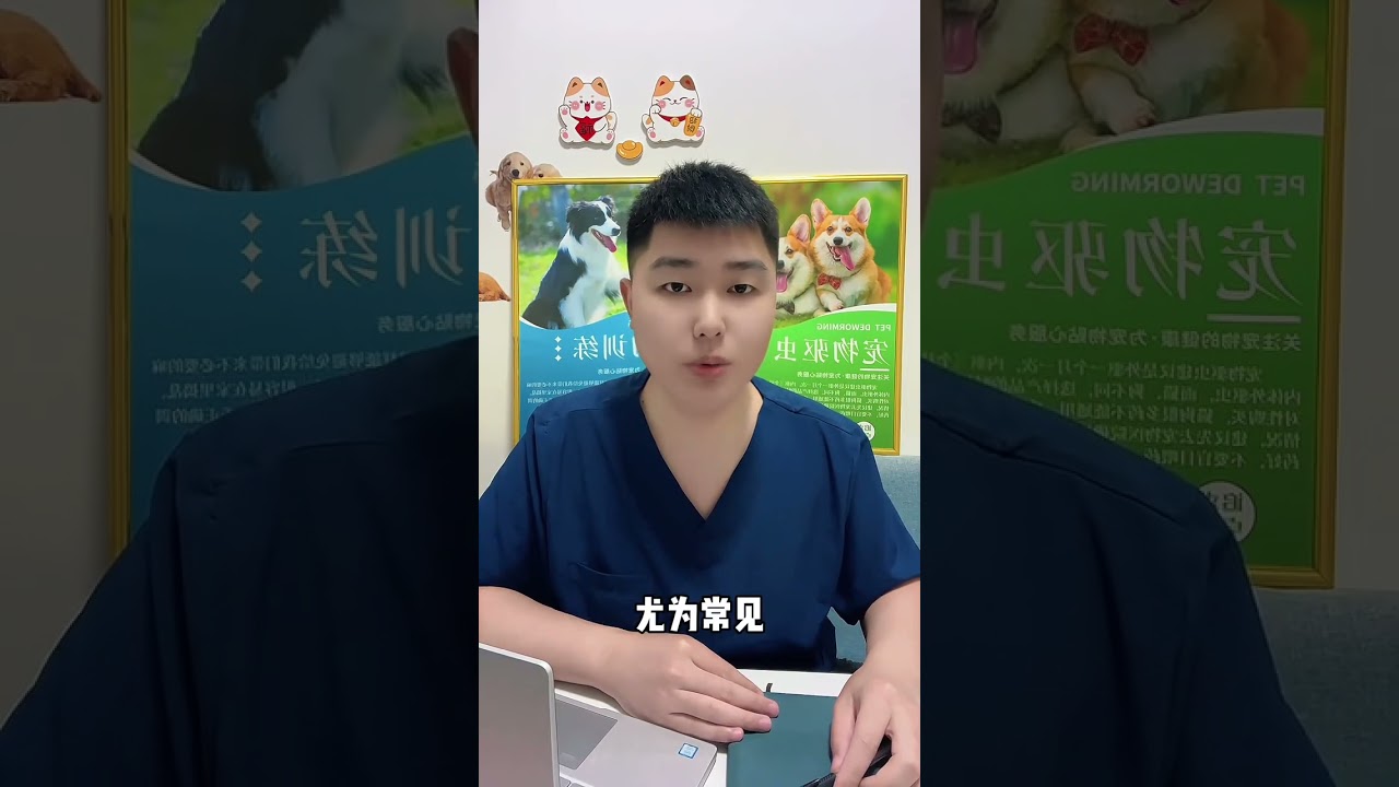 Rice-washing water is a treasure allowing you to raise a dog without any worries