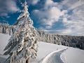 Христианская песня.  Новый Год