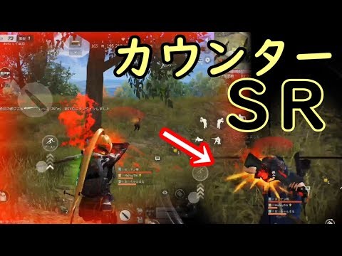 【荒野行動】SRでもカウンターキラー発動！SR only キル集No.9【成長の軌跡】【もへい】