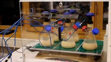 BioProcessingDays 2018