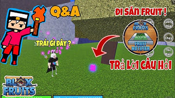 Blox Fruit|| Trả Lời Q&A Và Đi Tìm 5 Trái Ác quỷ ở Sea 3 Và Cái Kết ||Asta Official