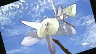 flowers 2.avi