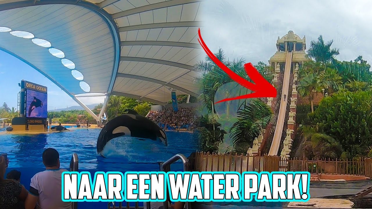 Met Sjen naar Tenerife, een auto huren en samen langs de afgrond rijden, zo eng!! #vlog13