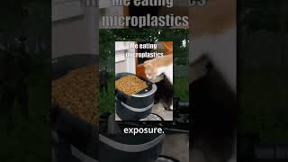 Are you Worried About BPa's? #grayzonewarfare  #grayzonewarfaregameplay  #grayzone