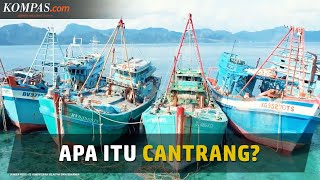Mengenal Cantrang dan Alasan Mengapa Benda Ini Sempat Dilarang