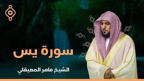 "🎧استمع لسورة يس بصوت ماهر المعيقلي – تدبر وراحة نفسية"