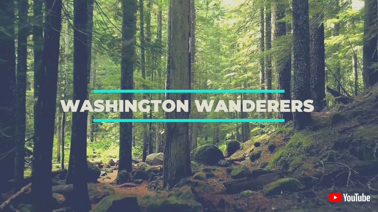Washington Wanderers - channel trailer