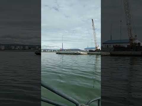 Новая причальная стенка на 10 причале. Слева берег лицензионного лова рыбы. Анадырский лиман Чукотка
