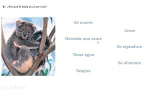 1 Año Básico Ciencias Naturales Guía N1 Y 2 Lo Vivo Y No Vivo Características De Los Seres Vivos