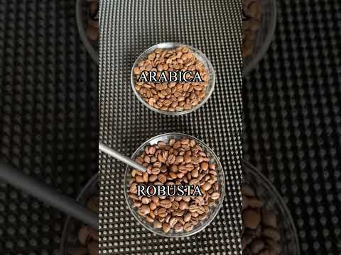 Video Cà phê pha máy là gì | Các loại hạt cafe Espresso nào... - youtube